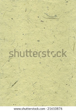 handmade paper with remains of plants - natural product