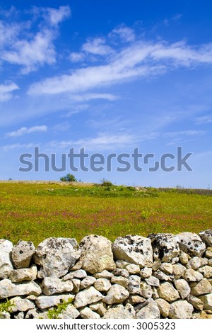 The sicilian landscape, in first plane the characteristic rock wall