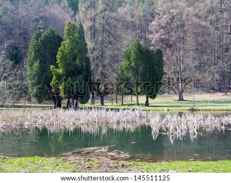 View of park with lake and aquatic plants during spring. This park is located in botanical garden in Turcianska Stiavnicka village, in Turiec region, northern Slovakia.
