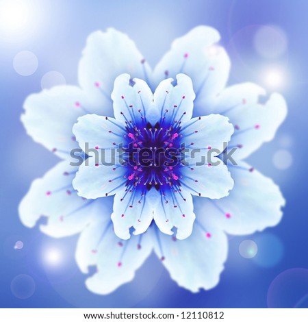 blue abstract flower on the background