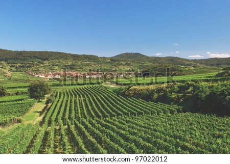 the famous Wine region named Kaiserstuhl in Black Forest,Germany