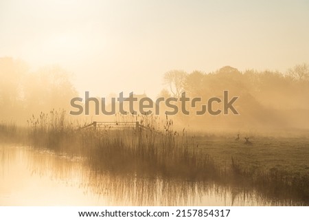 Similar – Image, Stock Photo Morning mist Morning fog