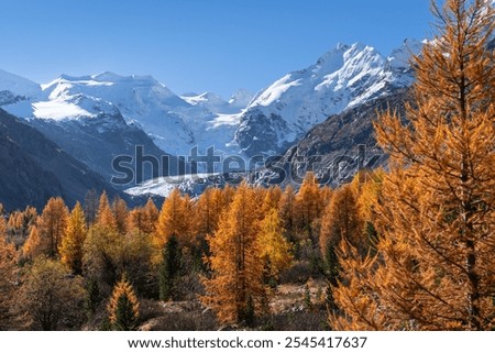 Similar – Image, Stock Photo The Bernina mountain range