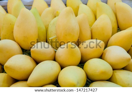 Pile of fresh Barracuda mango on sales in Thailand open market. Barracuda mango is a tropical fruit well known in Thailand.