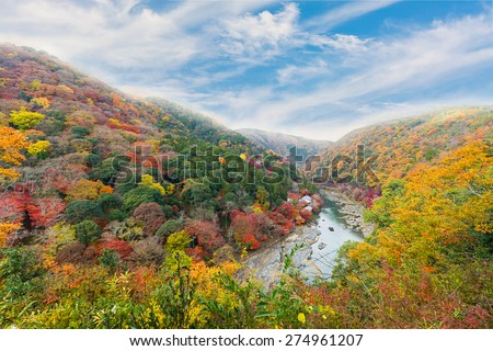 Beautiful valley mountain hill with seasonal colorful trees and blue sky landscape in Japan