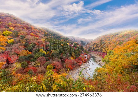 Beautiful valley mountain hill with seasonal colorful trees and blue sky landscape in Japan in autumn style