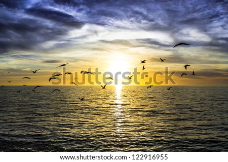 dramatic dark cloudy sunset over the ocean with flying seagulls
