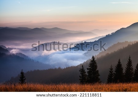 fog and cloud mountain valley landscape, Ukraine