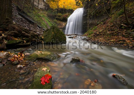Wide angle image of creek in a canyon with waterfall in the background and red maple leaf on a rock in the foreground.