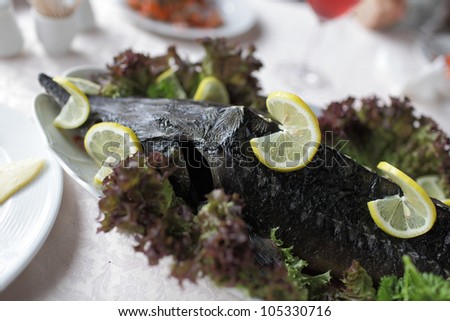 Stuffed sturgeon on a white plate in a russian restaurant