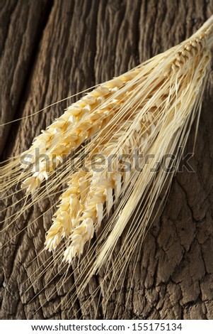 Golden ripe cereal ears lying on a very old rustic wooden board