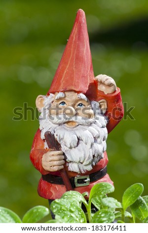 Little funny garden gnome in the garden behind small seedlings of herbs