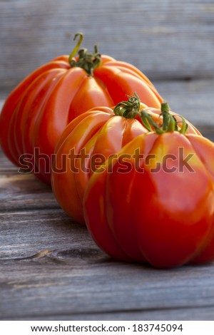 Three large Beefsteak Tomatoes in a Row fresh from the Weekly Market on a old wooden Table