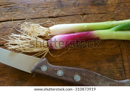 Fresh red spring onion and a kitchen knife on rustic wooden board