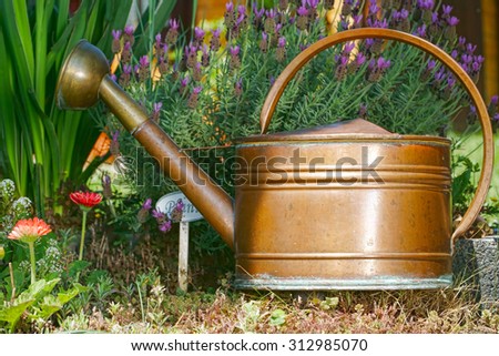 Flowers, lavender and a old watering can in the home garden