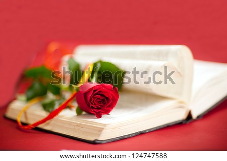 Love story book concept. Red rose at opened book with heart shape pages. Red background
