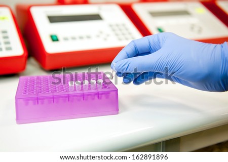 Hand preparing polymerase chain reaction test tubes for analysis. Genetics laboratory.