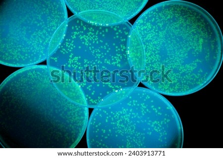 Similar – Image, Stock Photo luminescent