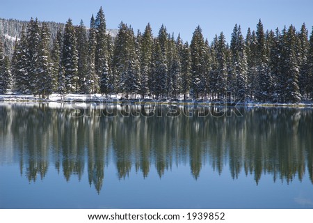 Relections in a Blue Lake on the Grand Mesa, Colorado