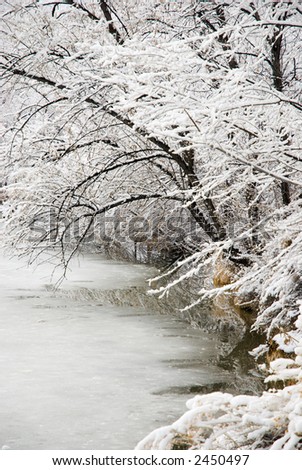 Trees on the shore of a frozen pond at Duck Pond Park in the Ridges neighborhood of Grand Junction, Colorado. Wet snow is clinging to the dark branches; reflection in a bit of open water.