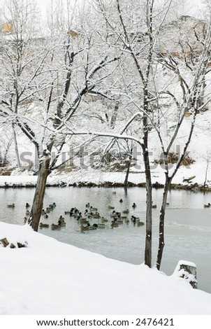 winter at Duck Pond park in the Ridges, Grand Junction, Colorado
