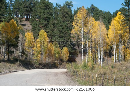 Horizontal landscape photo of autumn aspens and ponderosa pines along Ouray County Road 5 near Ridgway, Colorado on a sunny afternoon in early October