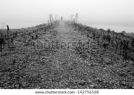 Woman running down a rocky road in heavy fog  White and black