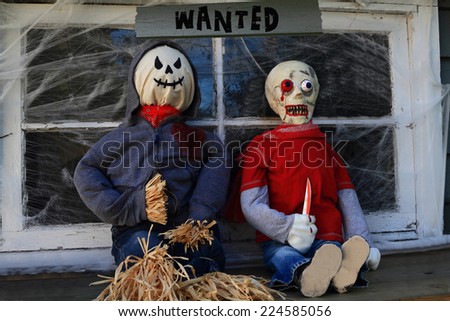 Halloween Decoration, Dolls of Scarecrow Killer and Zombie in front of window of old house covered with spider web under sign WANTED