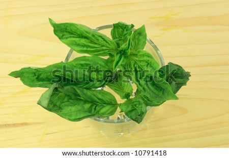 Fresh Basil. Sprigs of fresh Basil in Water glass over wooden cutting board.
