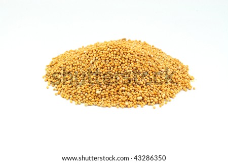 Pile Mustard Seeds used as seasoning isolated over white background.