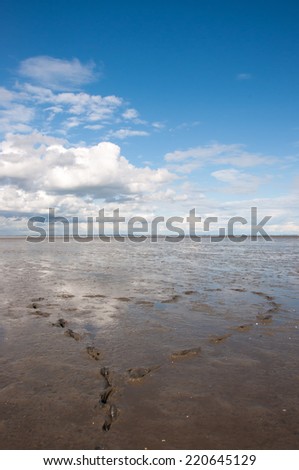 Mud flat - North sea