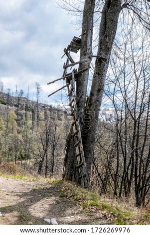 Broken hunting stand, Stolica mountains, Slovak republic. Hiking theme. Zdjęcia stock © 