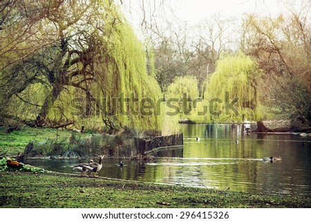 St. james\'s park scene. Beautiful trees, waterfowl and lake. London, Great Britain.