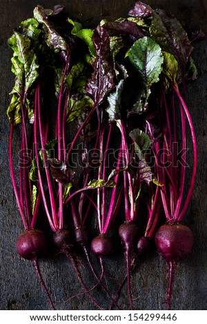 Similar – Image, Stock Photo Close-up of a violet ornamental flower / allium in front of a light background. Blurry/abstract