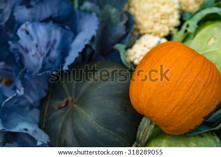 A variety of vegetables - cauliflower, cabbage, pumpkin in group