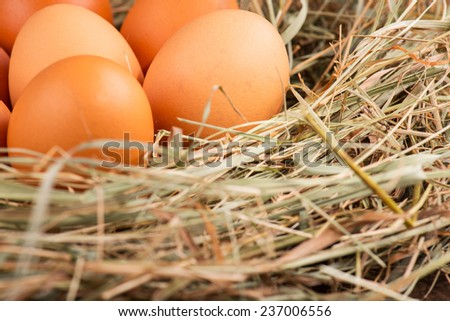 Selective focus on the eggs lying surrounded by the straw on the wooden surface