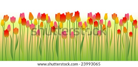 Spring background with flowers  of vector illustration