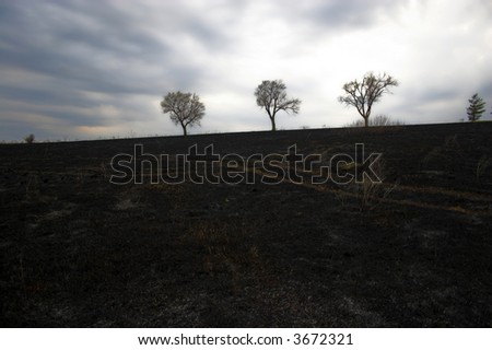 Burned landscape after prairie fire.