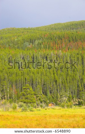 Yellow and sunny green colors of the mountains prairies forests in Cordeliers during late summer early fall