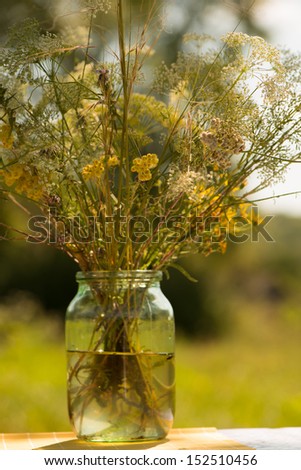 flowers meadow in vase with water in a sunny day on an indistinct background