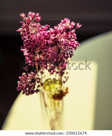 bouquet of flowers in a vase in a room lit by natural light