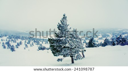 landscape in a mountainous area in the winter season, panorama