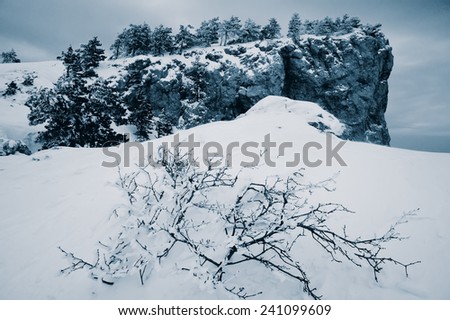 landscape in a mountainous area in the winter season