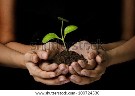 women hands holding a young plant with black background
