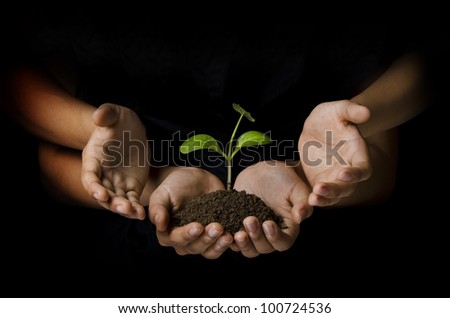 female hand holding a young plant and other hands protecting