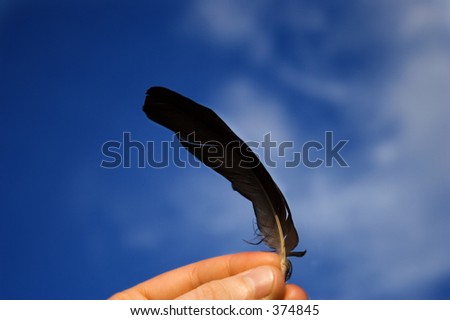 A feather in a hand