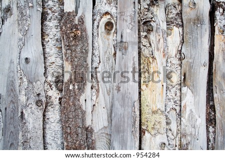 A section of a old wood fence
