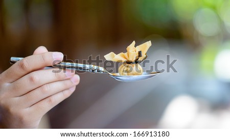 Hand holding crab rangoon (thai  appetizer) in the spoon