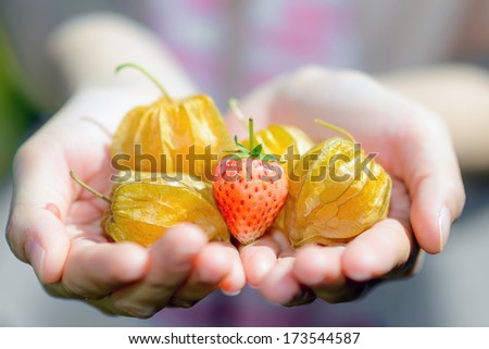 Fresh cape gooseberry and strawberry in hands