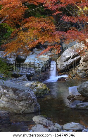Mountain stream in the fall forest